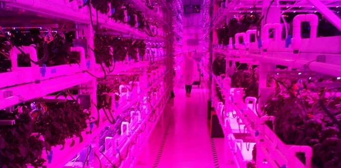 Astronauts and Arugula: using space-station technology to grow food